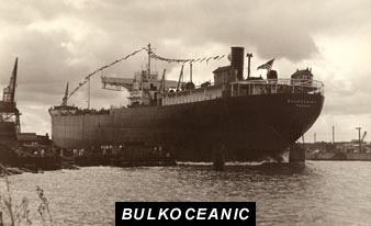 bulkoceanic